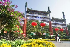 日赏菊海、夜品光影！陶然亭公园第三届菊花文化节启幕