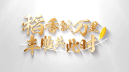 新闻纪录片丨稻香飘万里 丰收共此时