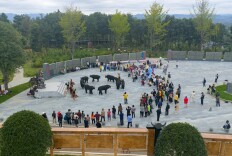 追寻大将足迹 遇见青春会同——2025大学生青春特战队湖南会同行活动圆满落幕