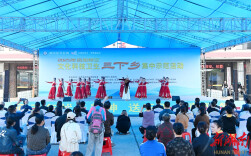 2025年岳阳楼区文化科技卫生“三下乡”集中示范活动启动