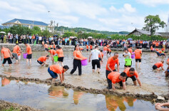 13路“农活高手”安江过招，开犁捉鱼耍起来！湖南农耕大赛热辣开赛