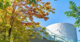 北京最早的红叶观赏地！就在有“枫”的地方