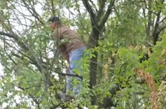 在树上看“湘超” “挂票”是个什么票？