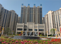 筑牢质量基石，铸就“幸福港湾”——专访永州东圣实业开发有限公司总经理杨东霖