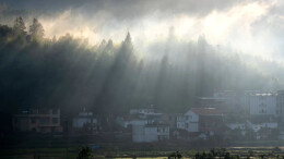 丁达尔效应：把秋天的阳光“拽手里”