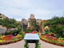 布展面积3000平方米，北京动物园国庆花坛也“出圈”