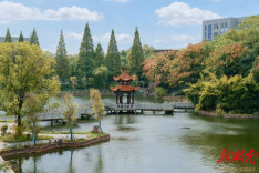 组图丨栾花映秋——专属湘大的浪漫