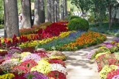 圆明园金秋游开幕，推荐4条游园路线