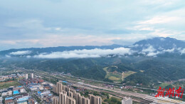 【大美鹤城】雨霁秋日 云海入画