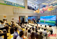 “源”起永州 “鲜”聚盒马|湖南永州名特优农产品进驻上海盒马发布会在浦东新区举行