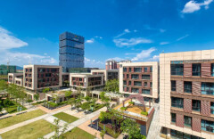 辛小湘丨我在湖南等你！英才“湘”聚正当时