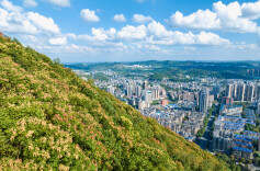 组图 | 吉首市：栾树披“彩装”，秋色浸染山城