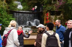 三湘时评丨绽放自我，是最好的待客之道