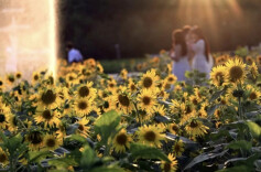 仲秋必来之地，在雨花这里……