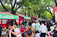 红妆满巷！北京海淀这条百年老街，热闹又浪漫——