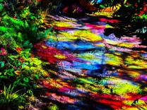 海淀公园莫奈花园：灯火璀璨，美轮美奂