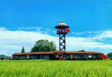 传统文化绘就乡村振兴新画卷——中景文旅携手湖南信息学院谱写国庆产学融合新篇章