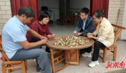 此心安处是吾乡