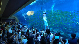 大王山接待游客超34万人次 连续8天登长沙景区热力榜|湘约国庆㉘