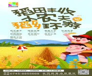 会同堡子稻香诗田：国庆黄金周 乡趣正浓时