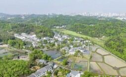 艺评｜邓春生：清溪村的“乡里香气”