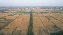 秸秆离田忙 田野绘新章