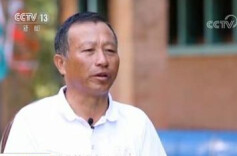 胡月舫：18年坚守，让非洲飘满稻花香