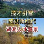 视频评论｜揽才引智，成就新时代湖湘人才盛景