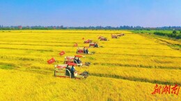 望城区：智慧破局秸秆治理，绿色转型惠泽民生