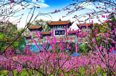 桃花源里可耕田