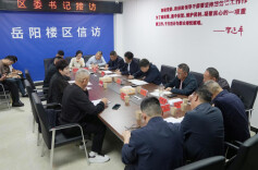 曾平原到岳阳楼区综治中心接待来访群众