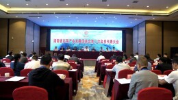 湖南省红茶产业发展促进会第二次会员代表大会在保靖县召开