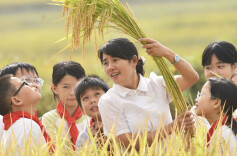 世界粮食日丨三湘大地风起稻浪，邀您共赏金秋好“丰”景！