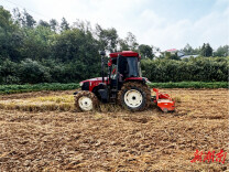 秸秆“变形记”里的丰收续章——云溪区“双轮驱动”走出综合利用新路