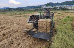 ‌辰溪县：龙头庵乡创新秸秆处理模式 生态效益与经济效益双赢‌