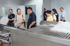 科技赋能猕猴桃产业：协同创新引领湘西绿色发展新范式