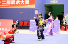 千名武林小将以武会友 湖南第十二届武术大赛在“武术之乡”衡东开赛