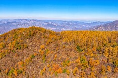 多彩金秋·京西林场的秋日邀约