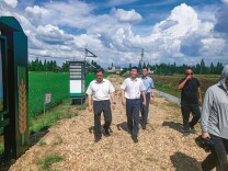 屈原管理区：人大代表一线履职，筑牢安全屏障