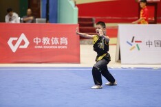 “武术之乡”千余湖湘功夫少年续写华章 湖南第12届武术大赛在衡东圆满收官