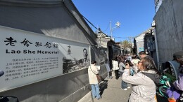 秋景出圈！老舍纪念馆一票难求，石刻博物馆刷屏