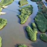 我国湿地面积居亚洲第一、世界第四