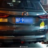 P车牌，招儿不少！北京警方通报