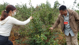 代表“执笔”，绘就乡村振兴新画卷
