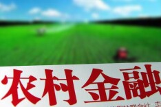 普惠走访 整村授信 湖南农信不断提升农村综合金融服务质效