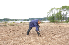 中方县：抢抓时令秋种忙，播下油菜“致富种”