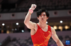 体操——世锦赛：张博恒获得男子个人全能亚军