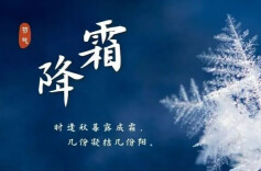 今日霜降｜秋冬交替，安全事项请知晓！