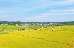 沃野千里话丰收——宁乡市农业农村现代化高质量发展的实践与探索