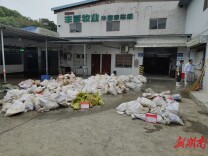 守护市民“猪”事安全！长沙市农业执法部门集中处理不合格生猪产品